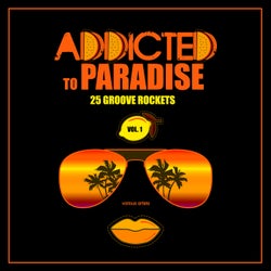 Addicted To Paradise, Vol. 1 (25 Groove Rockets)