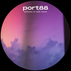 echoes in soft neon