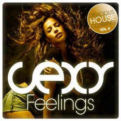 Sexy Feelings - Delicious House Clubbing Vol. 4