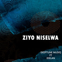 Ziyo Niselwa