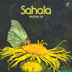 Sahala Music & Downloads on Beatport