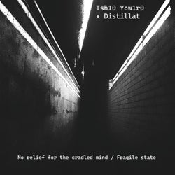 No Relief for the Cradled Mind / Fragile State