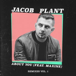 About You (Remixes / Vol.1)