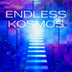 Endless Kosmos