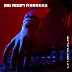 Big Room Madness: Hottest EDM Party Hits