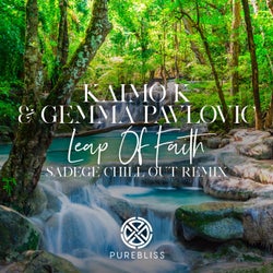 Leap of Faith (Sadege Chill Out Remix)