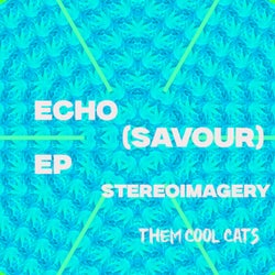 Echo (Savour) EP