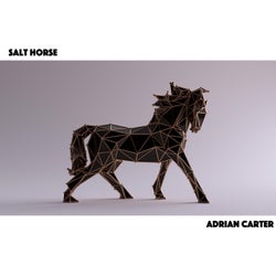 Salt Horse