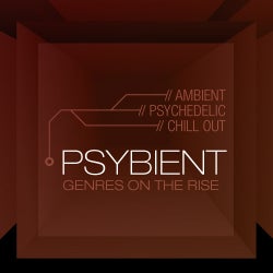 On The Rise: Psybient