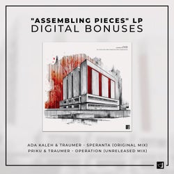"Assembling Pieces" LP : Digital Bonuses