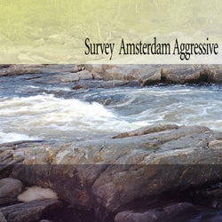 Survey Amsterdam Aggressive