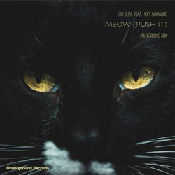 Meow (Push It) [Nuyorkino Mix] (feat. Joey Alvarado)