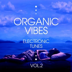 Organic Vibes (Electronic Tunes), Vol. 2