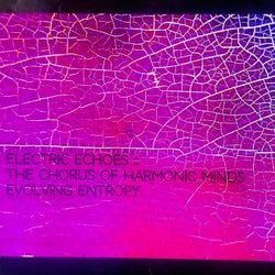 Electric Echoes: The Chorus Of Harmonic Minds Evolving Entropy