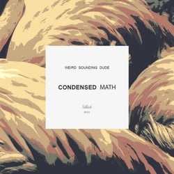 Condensed Math