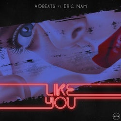Like You feat. Eric Nam