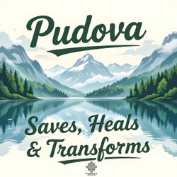 Saves, Heals and Transforms