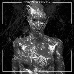 Echoes of Pain