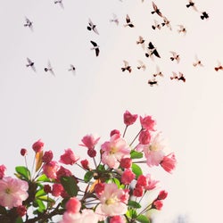 Alone