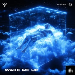 Wake Me Up (Extended Mix)