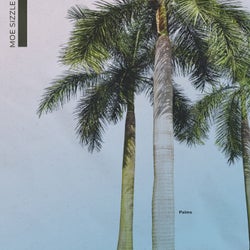 Palms