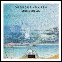 Shore Shells