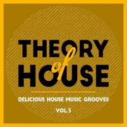 Theory of House (Delicious House Music Grooves), Vol. 3