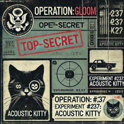 Acoustic Kitty