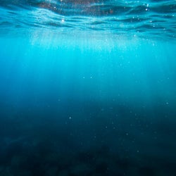 Deep Below