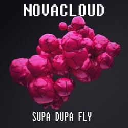 Supa Dupa Fly