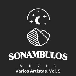 Varios Artistas, Vol. 5