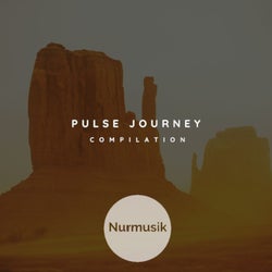 Pulse Journey