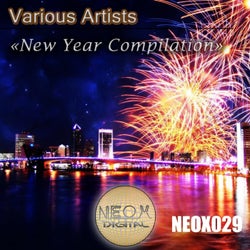New Year Compilation, 50 EDM Tracks