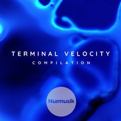 Terminal Velocity