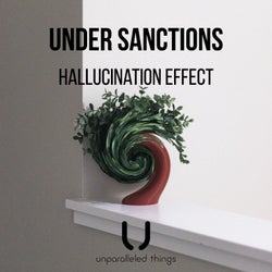 Hallucination Effect