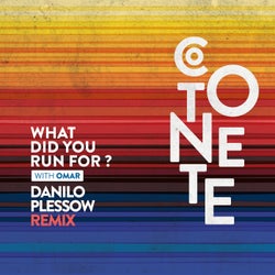 What Did You Run For? (Danilo Plessow Remix)