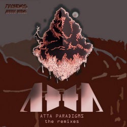 Paradigms - The Remixes