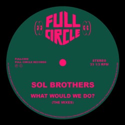 Cover art for What Would We Do? (The Mixes)