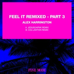 Feel It Remixed - Part 3