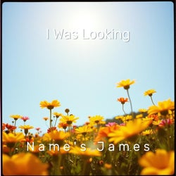 I Was Looking