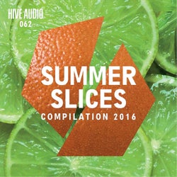 Hive Audio - Summer Slices 2016