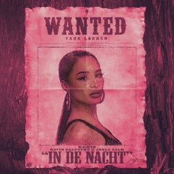 In De Nacht (Remix)