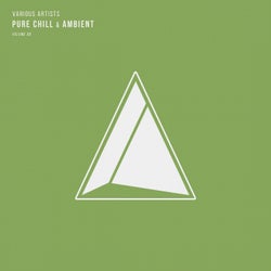 Pure Chill & Ambient, Vol. 08