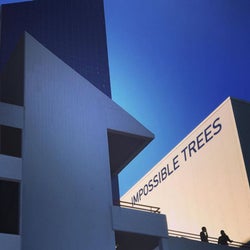 Impossible Trees