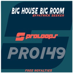 BIG House BIG Room Loops & Samples
