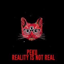 Reality Is Not Real