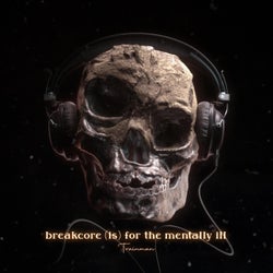 breakcore (is) for the mentally ill