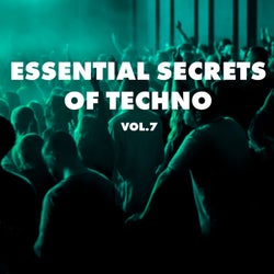 Essential Secrets of Techno, Vol. 7