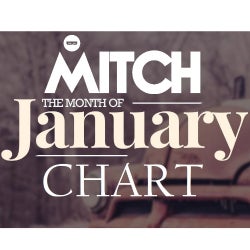 Mitch B. January Chart