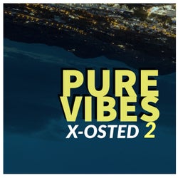 Pure Vibes 2